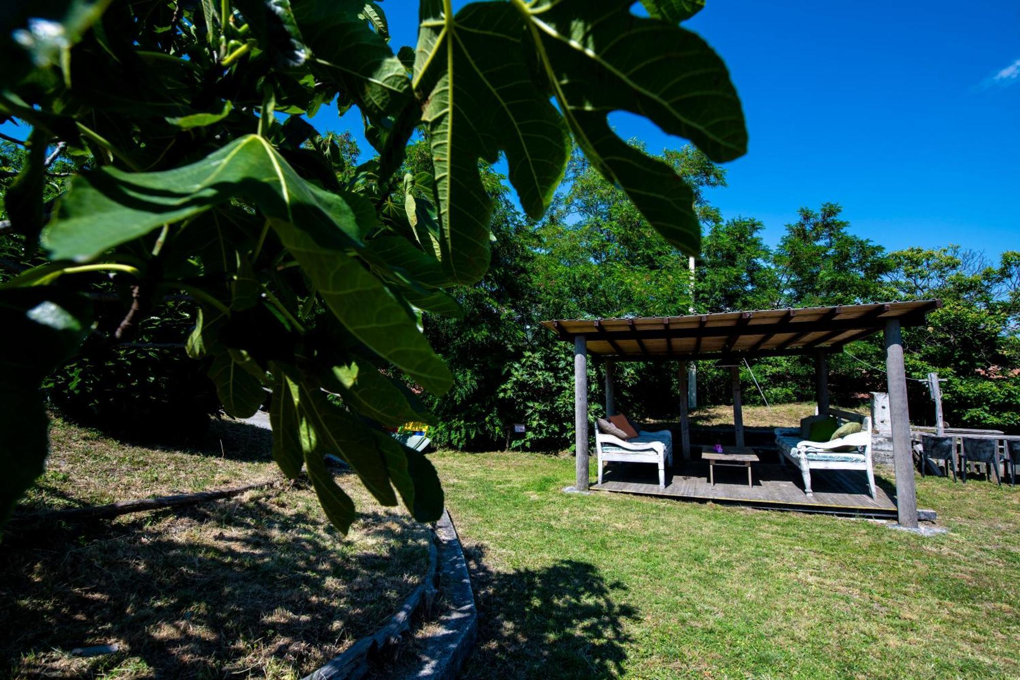 211 - Appartamento Acacia, Terrazza Giardino E Piscina Carro Extérieur photo