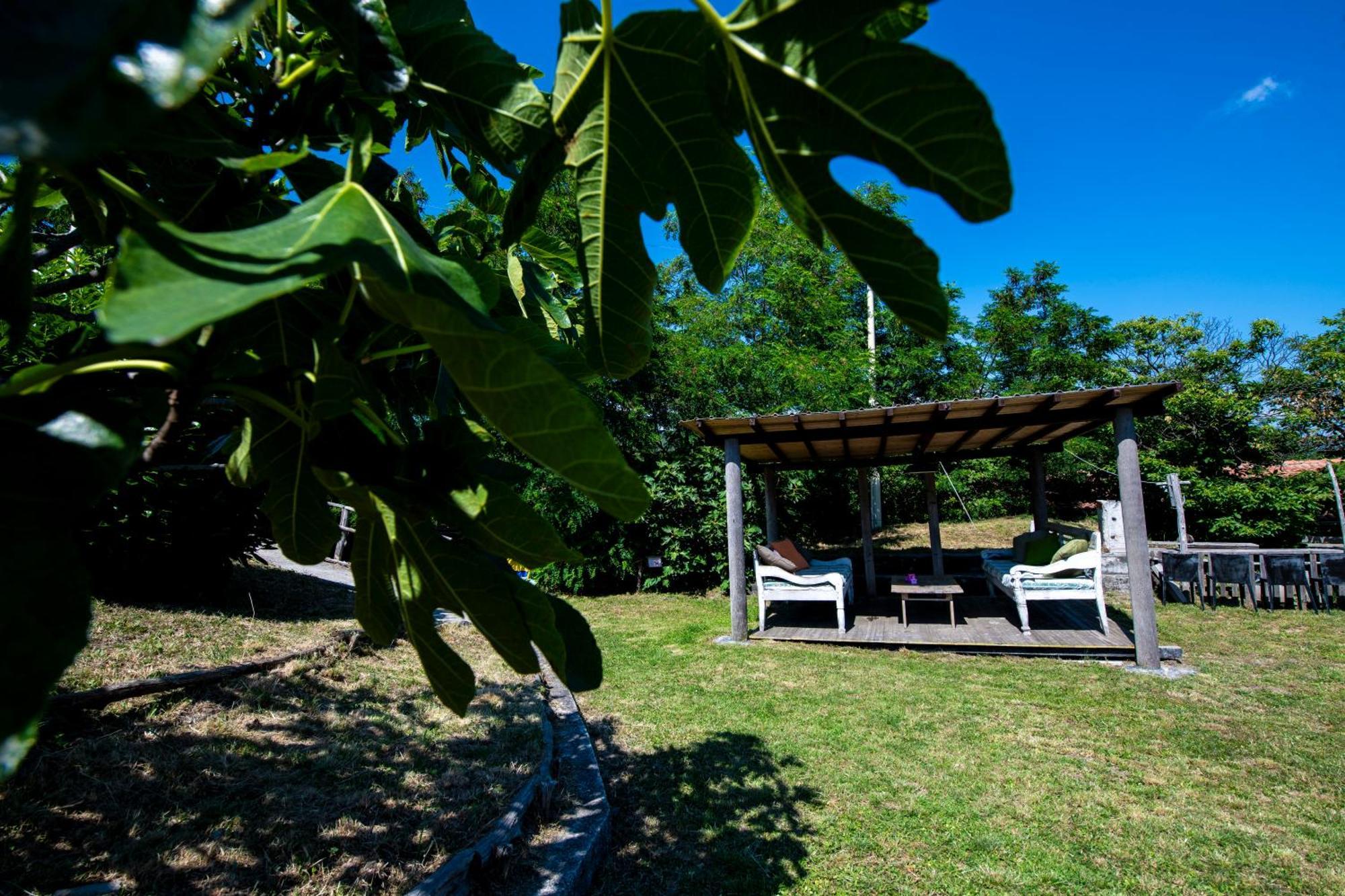 211 - Appartamento Acacia, Terrazza Giardino E Piscina Carro Extérieur photo